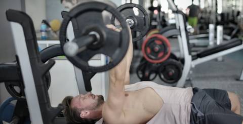 French Press Exercise 101: Build Your Triceps | ArticleCube